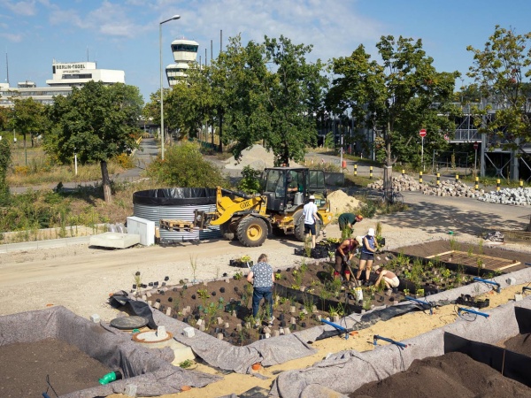 BdS-Tagung: Stauden für die Schwammstadt