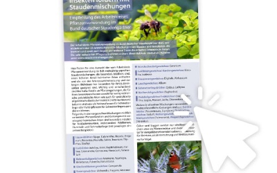 Insekten fördern mit Staudenmischungen