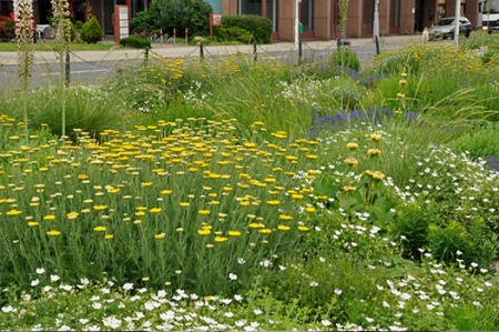 Silbersommer Mannheim (Foto: C. Schmidt)