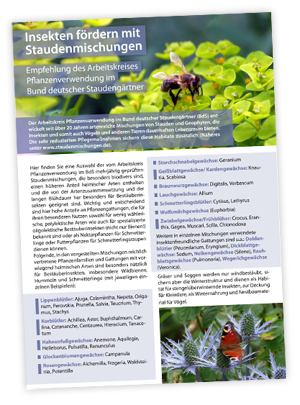 Titel: Insekten fördern mit Staudenmischungen