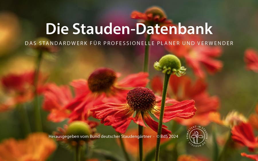 Staudendatenbank
