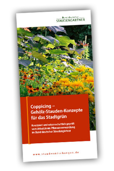 Broschüre: Coppicing - Gehölz-Staudenkonzepte für das Stadtgrün